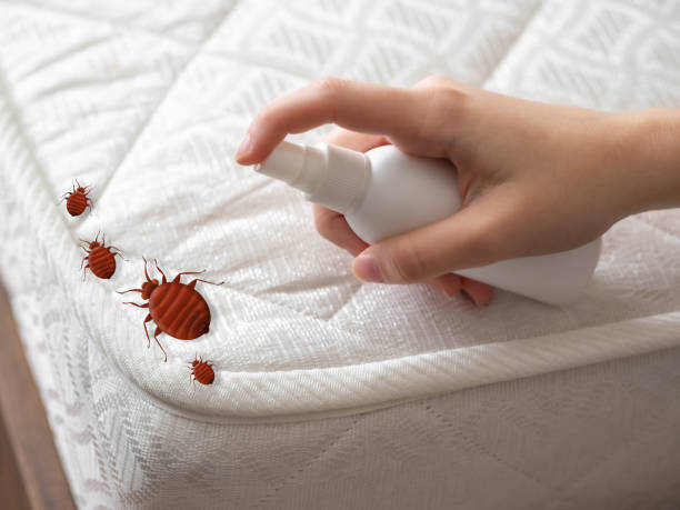 Best Pest Control for Multi-Family Homes  in Potomac, MD